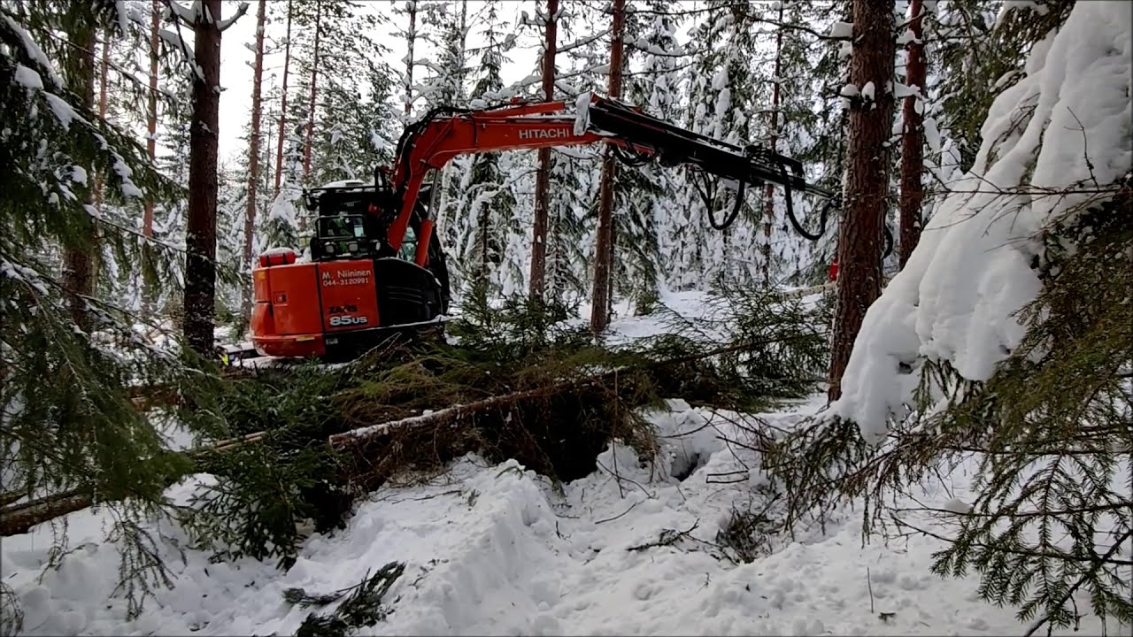 Hitachi ja Nisula. Harvennusta talvella 2021.