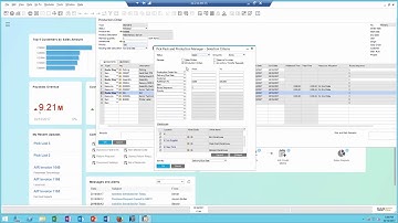 SAP BUSINESS ONE RENAMING FIELDS