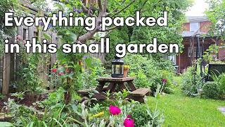 Creating My Small Rustic Garden | Peaceful City Living 🌿