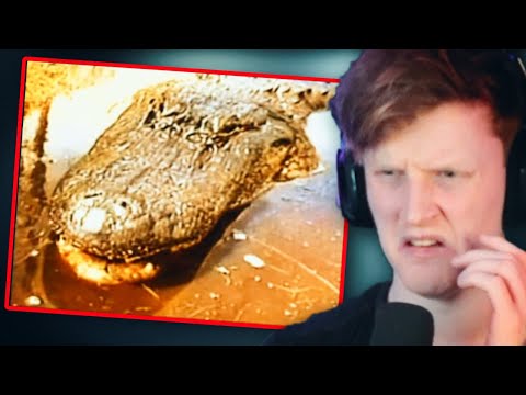WARNING: Do NOT Drink The Water, It Will Turn You into A MONSTER... | The Tangi Virus (Reaction)