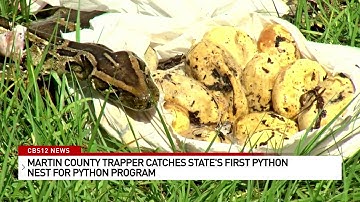 Martin County trapper catches state