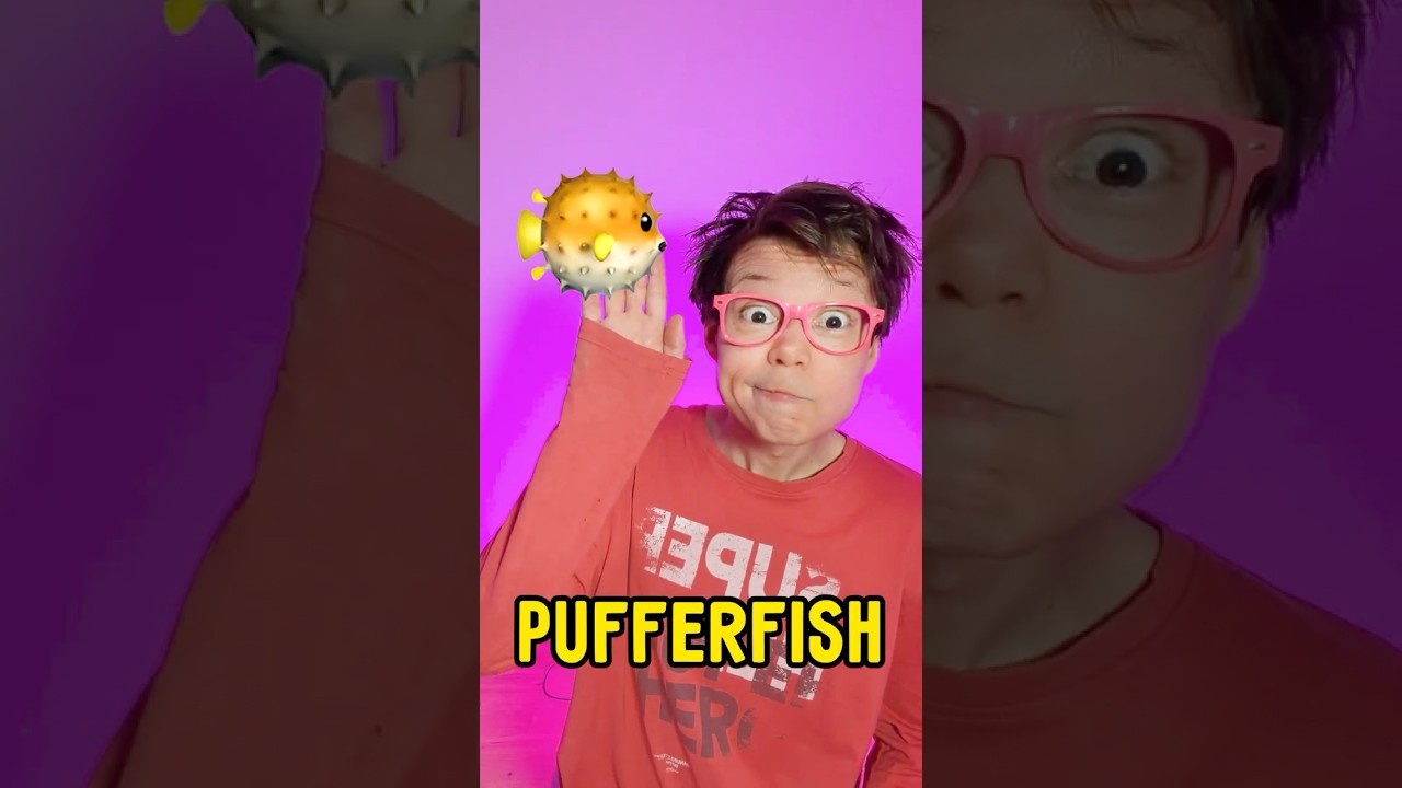 Animal Fact Time! 🐡 #learn #kids #shorts #dardar 썸네일