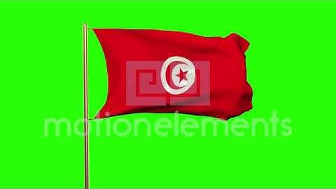 Tunisia Flag Waving In The Wind. Green Screen, Alpha Matte. Loopable Animation Stock Animation