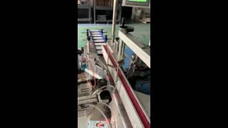 Automatic two head box tamper evident seal sticker applicator