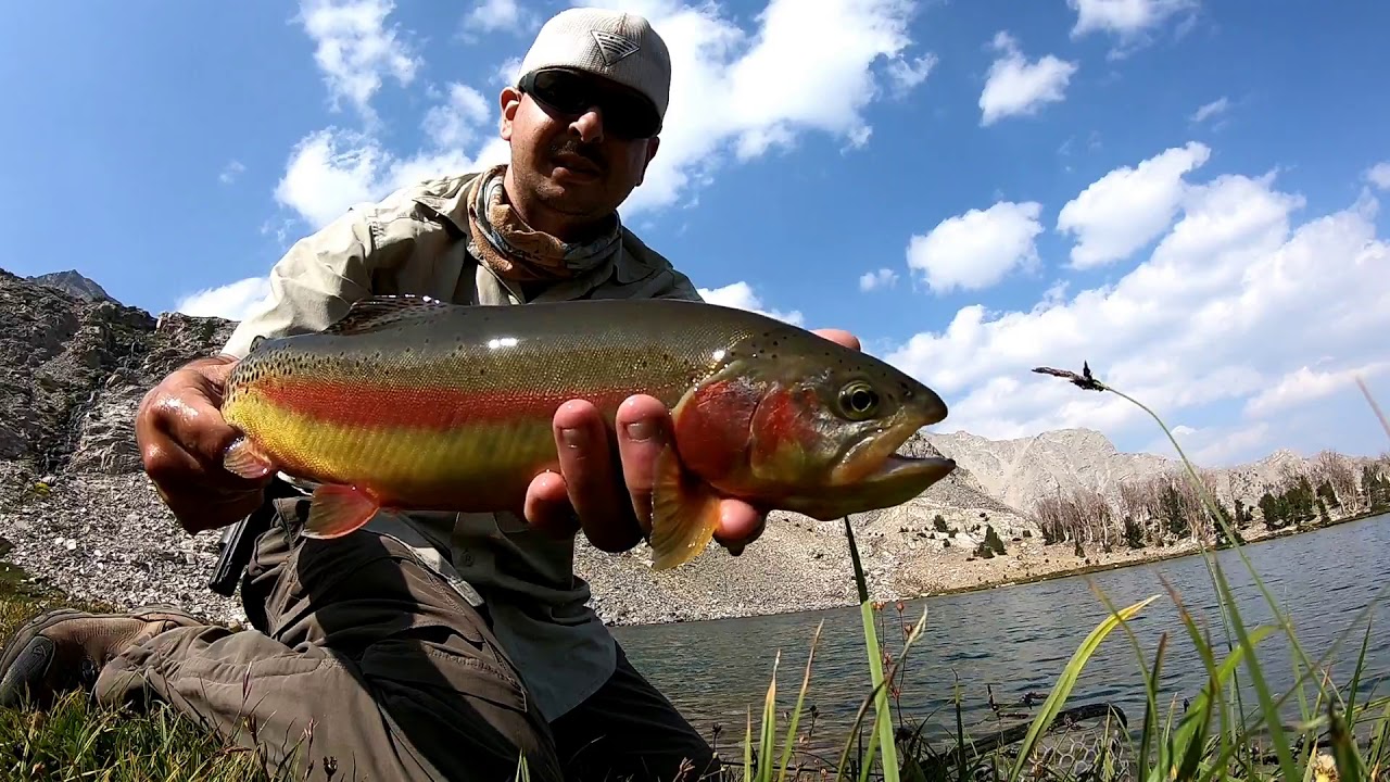 Rush Backpacking and Flyfishing for Golden Trout in Idaho YouTube