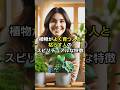 植物がよく育つ人と枯らす人のスピリチュアルな特徴 #スピリチュアル #愛 #植物 #自分磨き #観葉植物 #花 #育て方