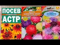 Правильный посев астр и рудбекий. Какой грунт для рассады?