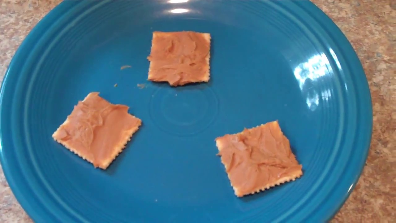 HOW TO MAKE PEANUT BUTTER COVERED SALTINE CRACKERS!! ( not how you