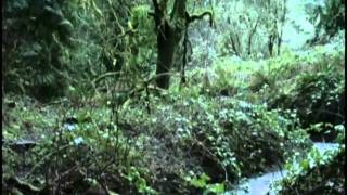 Water Conservation PSA.avi