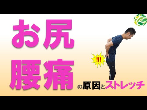 腰からお尻にかけて痛いときのエクササイズとストレッチ!臀部痛や仙骨部の痛み