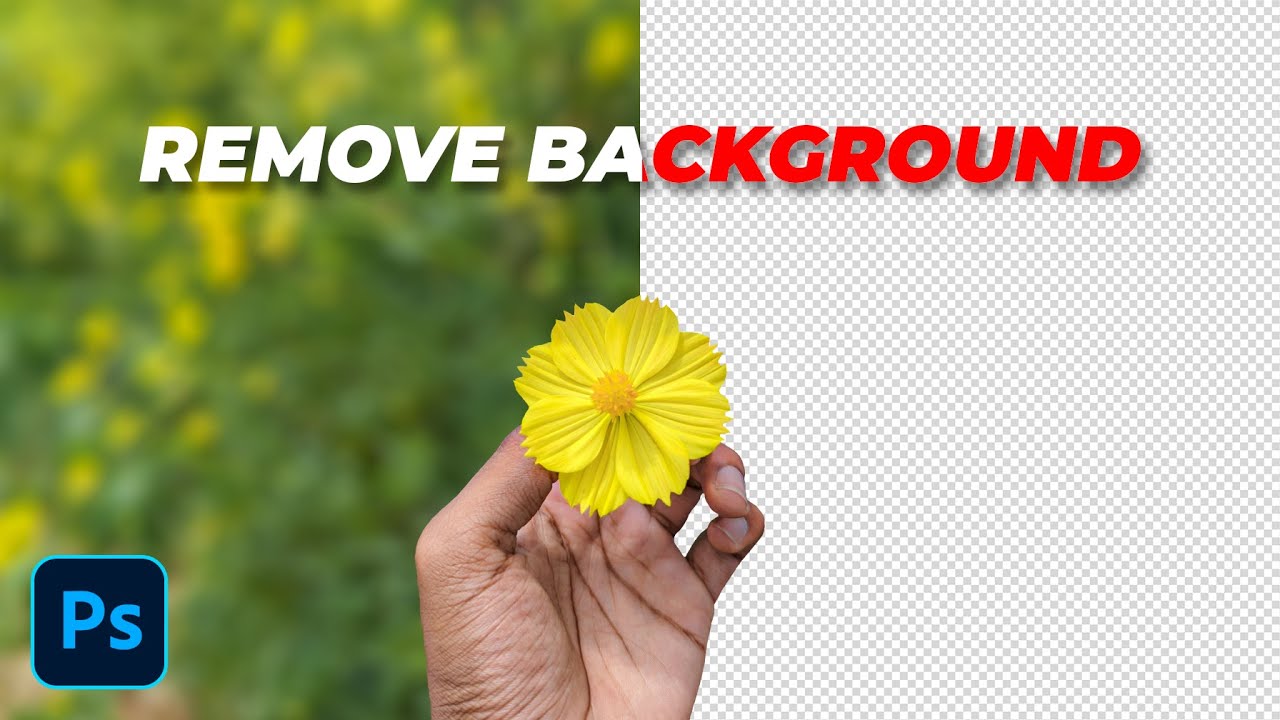 Remove Background option in YouTube