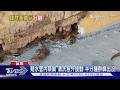 好「蜂」! 二手車行萬蜂狂飛 結局老闆賀成交｜TVBS新聞 @TVBSNEWS01