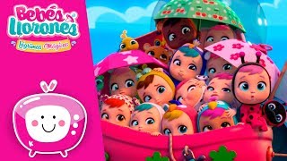 La Predicción De Tina Bebés Llorones Lágrimas Mágicas
