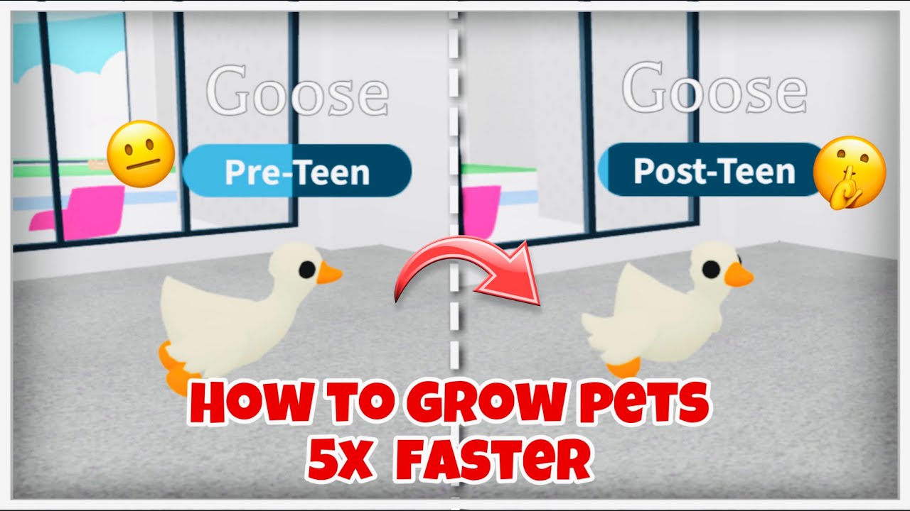 How To AGE UP Pets FASTER In Adopt Me 😱 