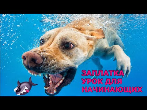 Уроки PhotoShop. Как пользоваться инструментом Заплатка?