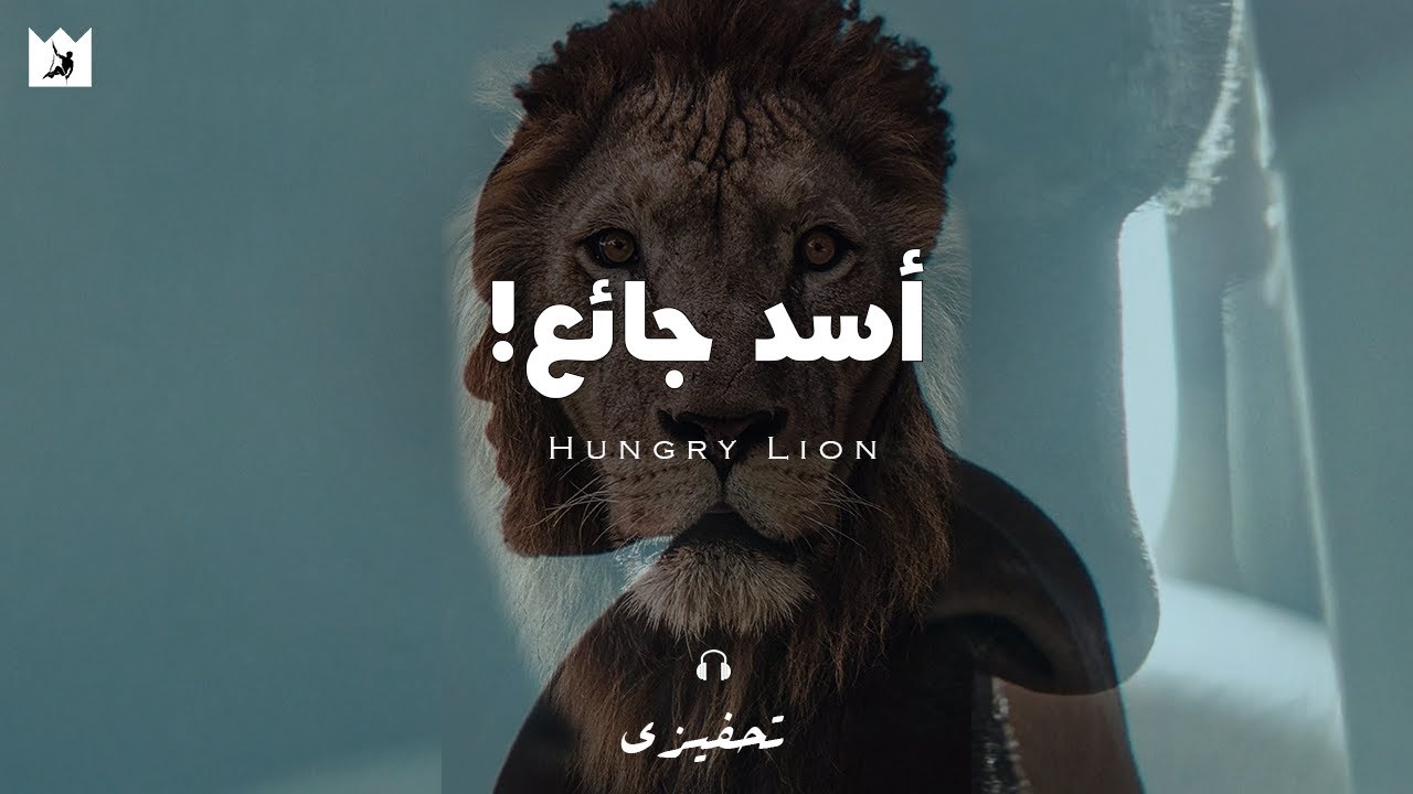 ⁣طارد أهدافك مثل أسد جائع! (أقوى فيديو تحفيزى) Chase your goals like a LION