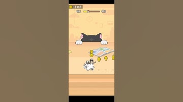 Hide And Seek : Cat Escape Level - 451 Gameplay With Android phone #Short #CatEscape #Level451 #Game