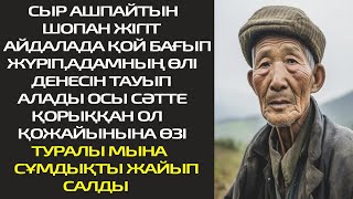 СЫР АШПАЙТЫН ШОПАН ЖІГІТ АЙДАЛАДА ҚОЙ БАҒЫП ЖҮРІП,АДАМНЫҢ ӨЛІ ДЕНЕСІН ТАУЫП АЛАДЫ,ОСЫ СӘТТЕ ҚОРЫҚҚАН