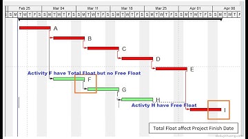 10 Total Float & Free Float in Primavera
