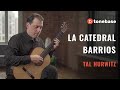 Tal Hurwitz | Agustín Barrios - La Catedral (Performance)