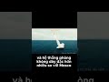 Bài Học Từ Tàu Moskva cho KirOV P4 -(Xem video dài ở mô tả) #shorts #viedefense