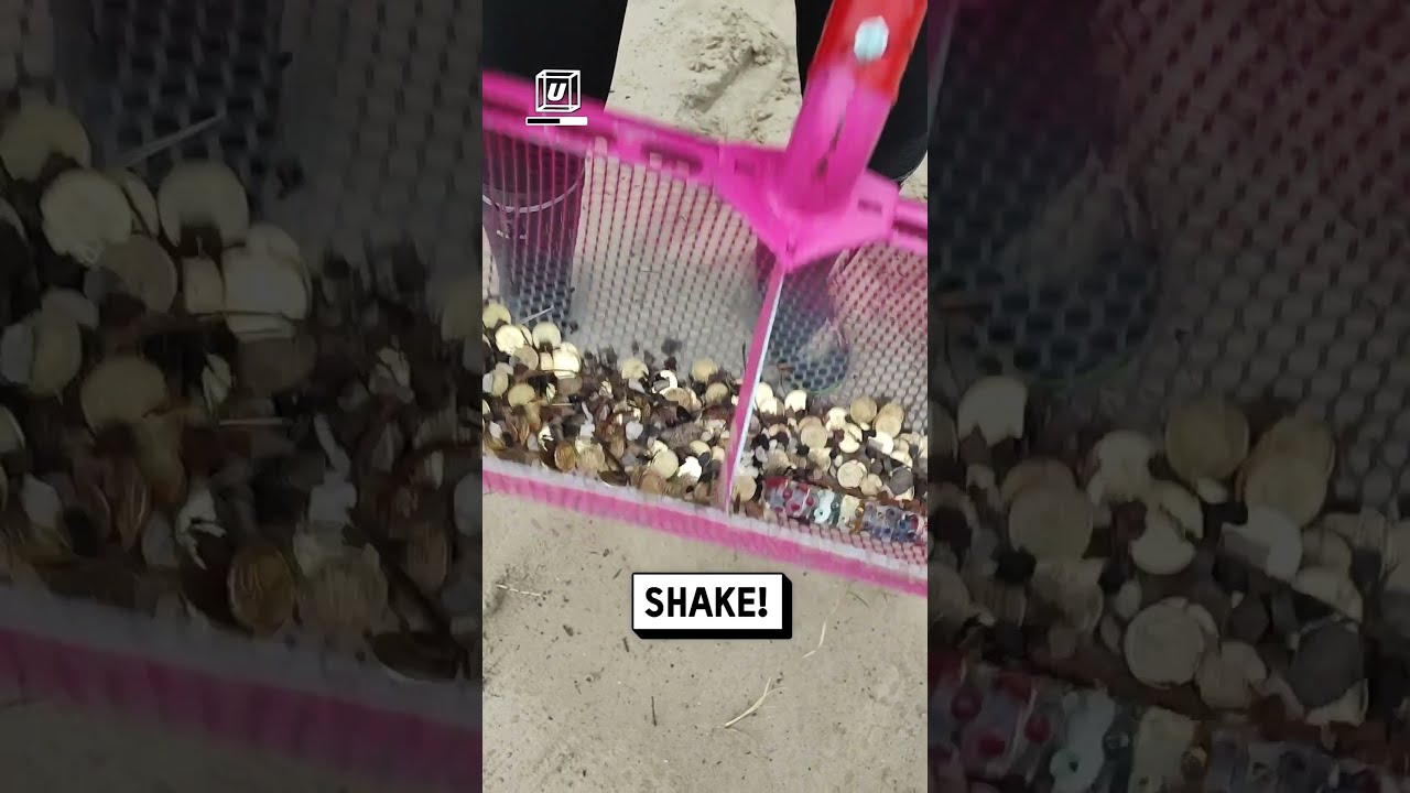 Beach Cleanup Finds Piles Of Coins Viralhog