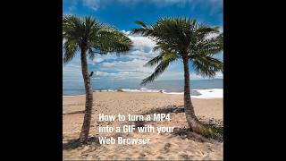 Celebrity How to turn a MP4 into a GIF with your Web Browser Wealth