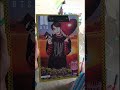 Video Image