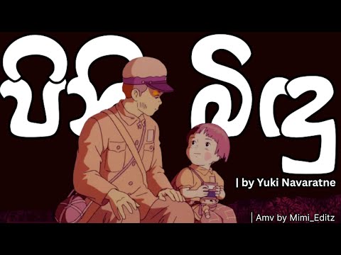 Pini Bindu | පිනි බිඳු | Amv | Lyrics video