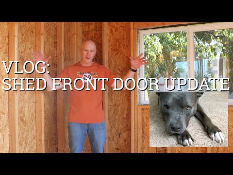 VLOG - The Shed Door