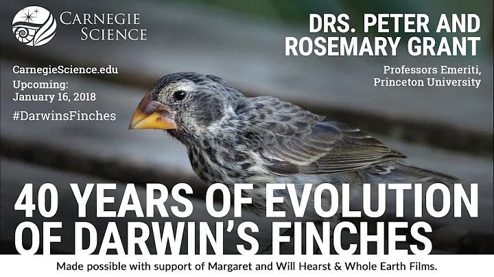 40 Years of Evolution of Darwin's Finches - Drs. P...