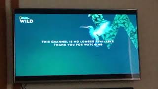 Nat Geo Wild Asia (Philippines, Sky Cable feed) - Final Test Card (2023 October 5)