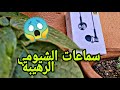 أفضل وأرخص سماعات🎧🎶  شاومي Mi💪/unboxing