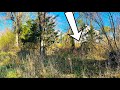 Elderly Couple&#39;s Overgrown Nightmare! I didn&#39;t EXPECT to HEAR THIS!