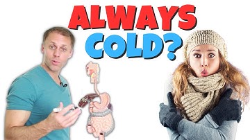 Why Am I Always So Cold