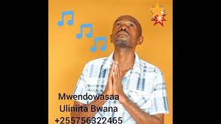 Mwendowasaa Song Usiruhusu Official Audio