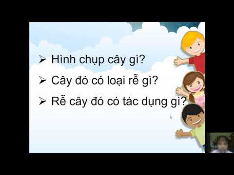 Bài giảng trực tuyến Thứ hai ngày 20/04/2020 Môn Tự nhiên xã hội - Lớp 3 - Bài: Rễ cây - Lá cây - Phần 1 - Tuần 26.