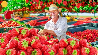 Why America’s Dirtiest Fruit Is Still Eaten by Millions – Over 1.5 Billion Pounds Every Year!
