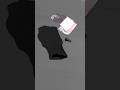 ハエもネズミもやってるのに #animation