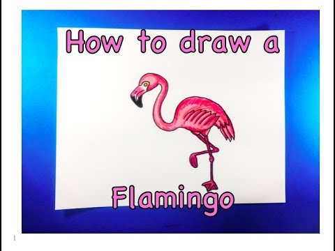 How to draw a Flamingo - YouTube