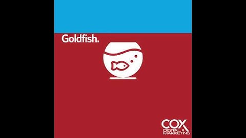 The Human Attention Span