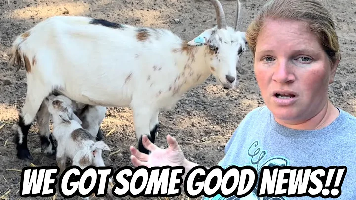 I Got A Big Surprise This Morning. Babies Every Where On The Farm!!￼