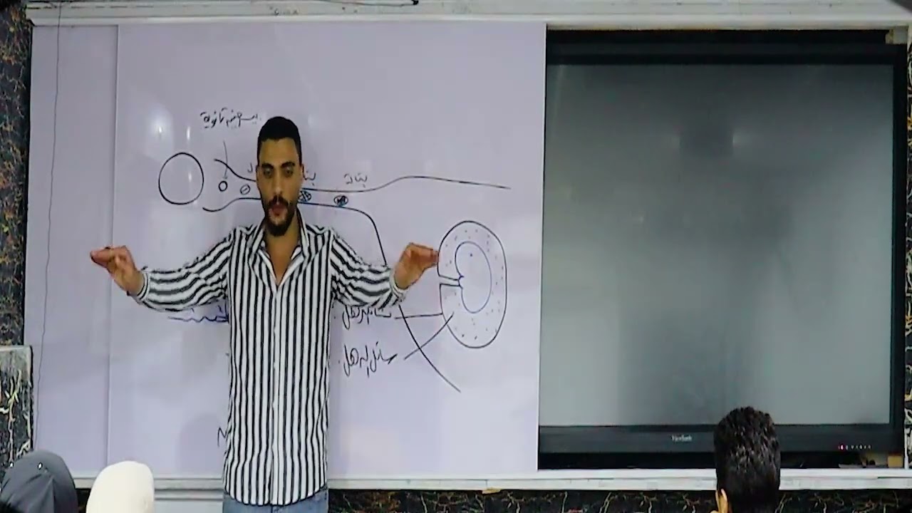 ٣ث | محاضره ١٠ |  مراجعه التكاثر  😍❤️  | 