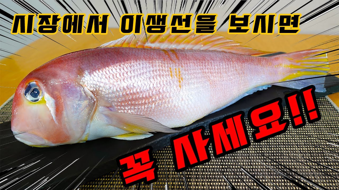 시장에서 이 생선을 보시면 꼭 사세요! You must buy this fish if you see it at the market! 옥돔 오로시 (생선손질)