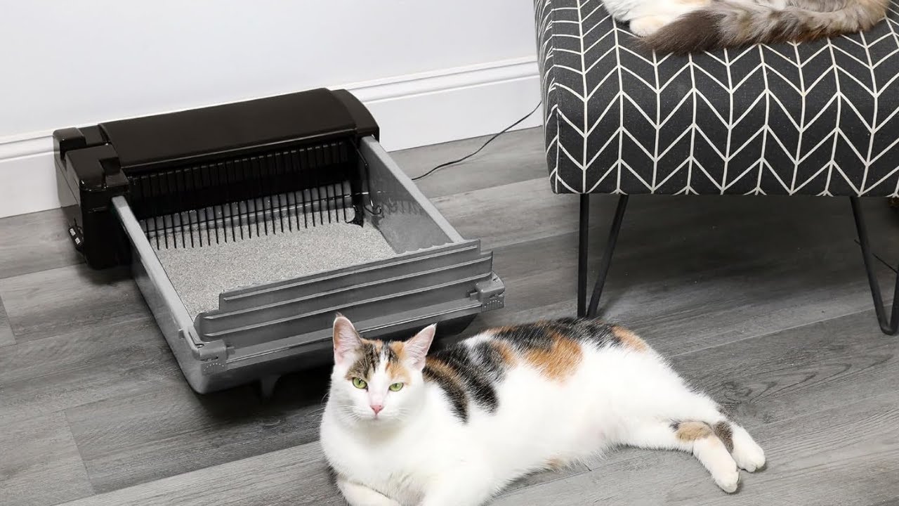 Pet Zone Self-Cleaning Semi-Automatic Litter Box 🧹🐾 | Smart & Odor-Free for Up to Two Cats!