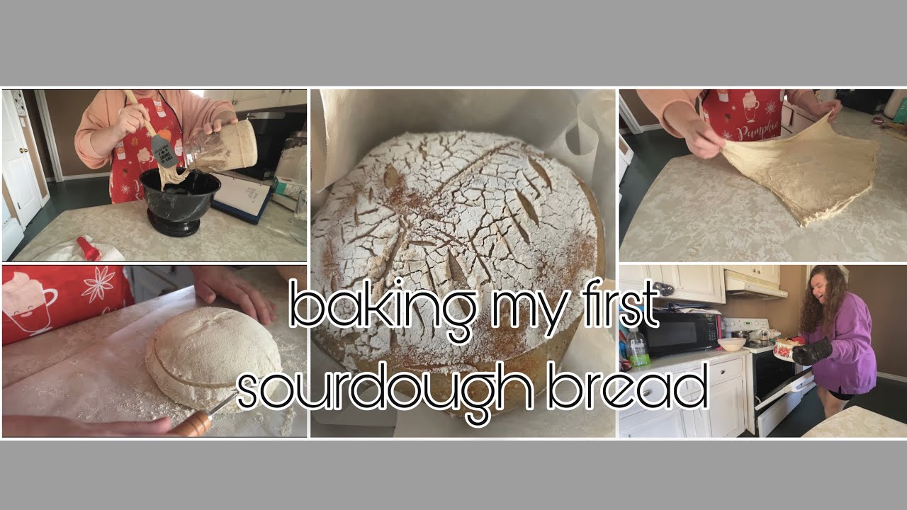 using-my-7-day-old-sourdough-starter-baking-sourdough-bread-for-the