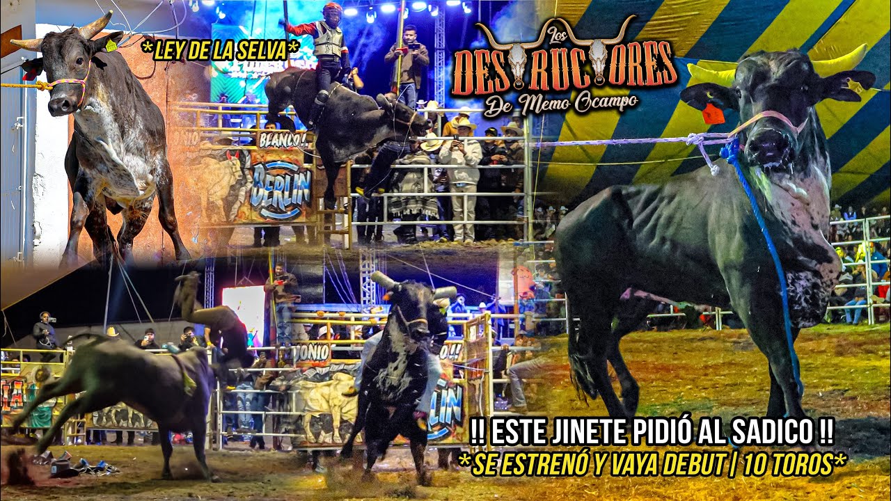 ESTE JINETE PIDIÓ AL SADICO | SE ESTRENÓ Y VAYA DEBUT | 10 TOROS | Destructores Porfirio Diaz Mex 25