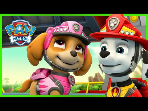 PAW PATROL COMPILATION
