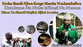 NYOKA_BUNDI_NJIWA_KENGE_MAMBA | WACHAMBULIWA | ZIARA YA SHEIKH SHARIF MAJINI KATIKA JIJI LA ARUSHA