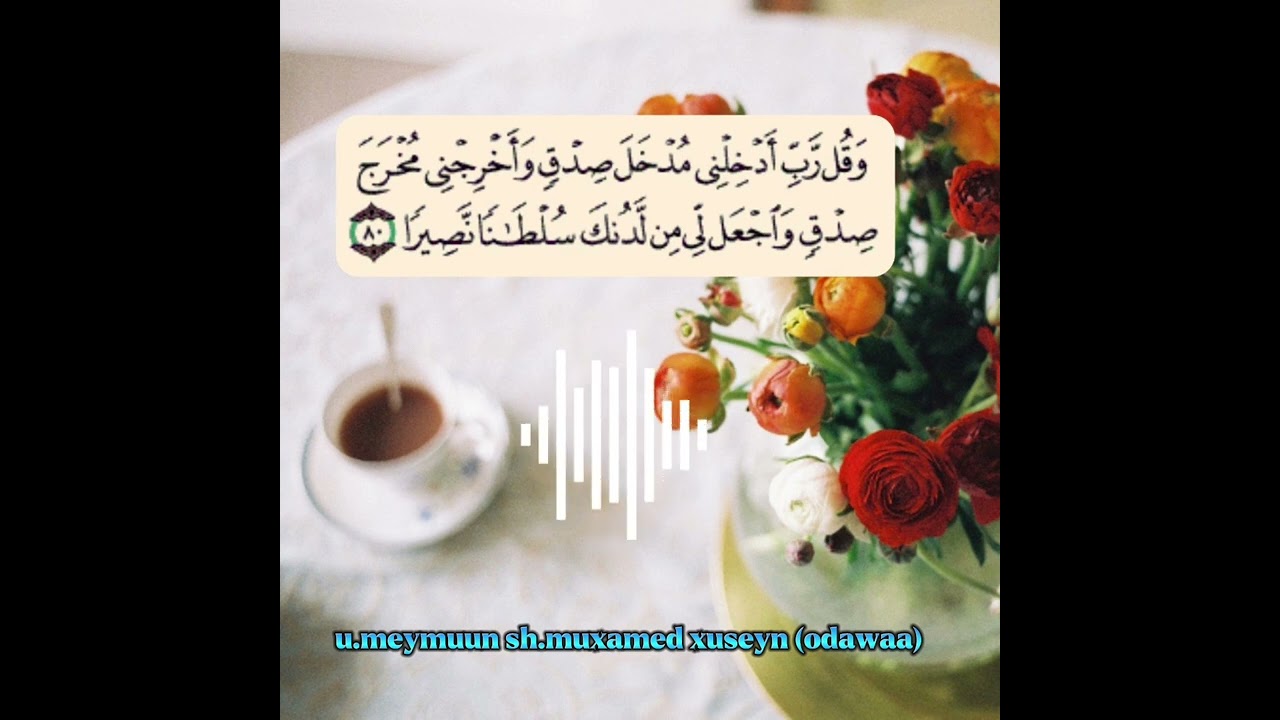 barashada Ducoyinka (1)